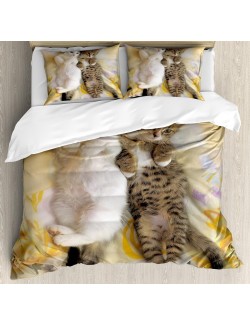 Funny Duvet Cover Set, Kitten Siblings Lying Beside Sleepy Heads Cat Pet Animal Lovers Best Friends Image, Decorative 3 Piece Bedding Set with 2 Pillow Shams, Queen Size, Pastel Cream